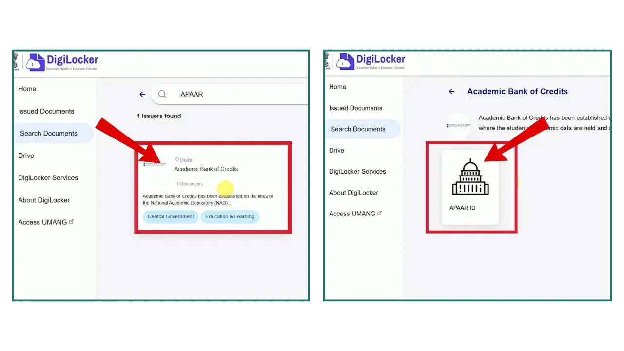 Accessing Apaar